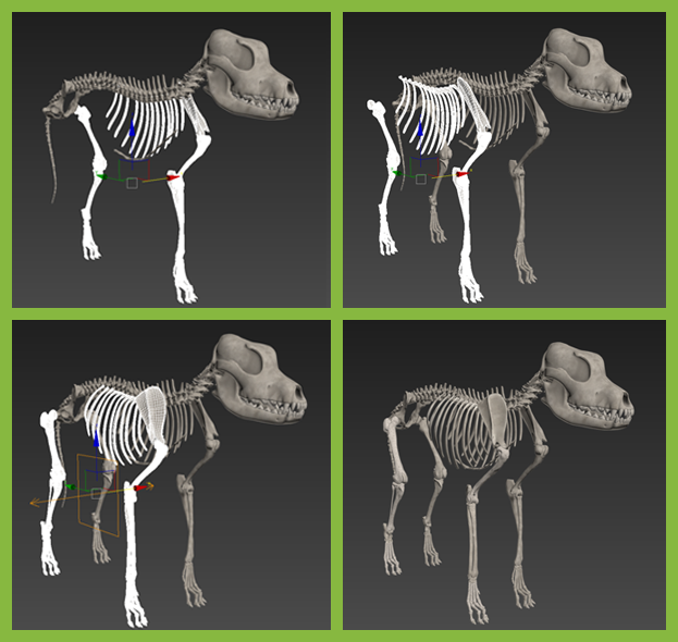 Introductory Image