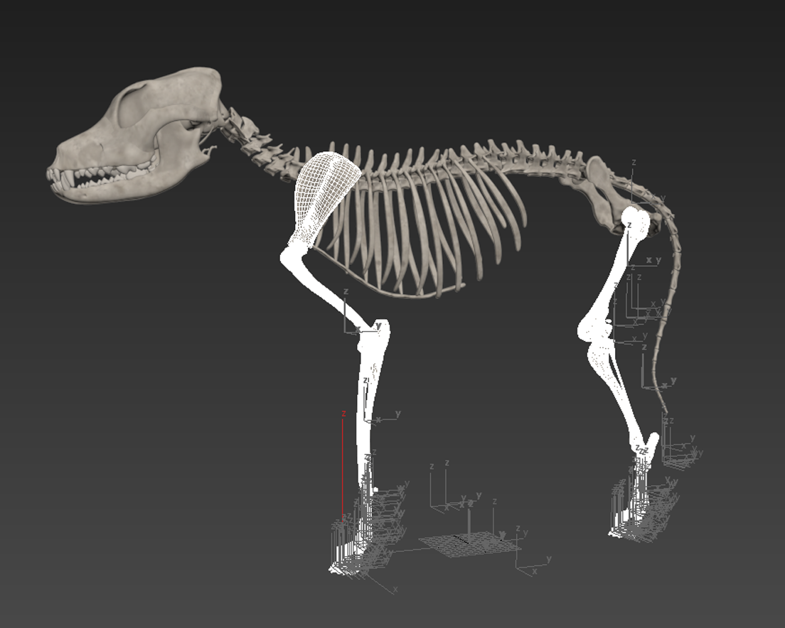 Select all meshes